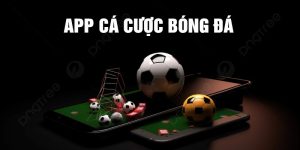 hình đại diện app cá cược bóng đá