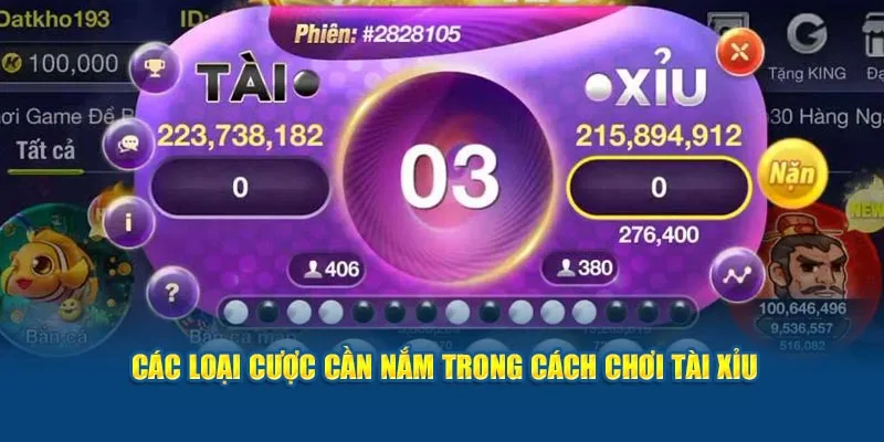 cần nắm thông tin cược