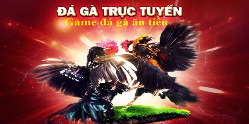 Đá gà trực tuyến