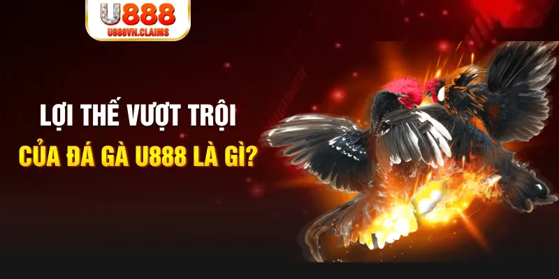 88 cl 888 slot là gì
